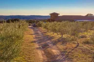 Dripping Springs Olive Oil and Balsamic Vinegar Tasting thumbnail 5