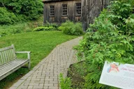 Boston Louisa May Alcott's Orchard House Tour thumbnail 2