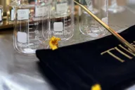 Atlanta Fragrance Workshop After Dark 1.5 hr thumbnail 2
