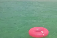 Florida Keys Boat Excursion with Snorkeling thumbnail 3