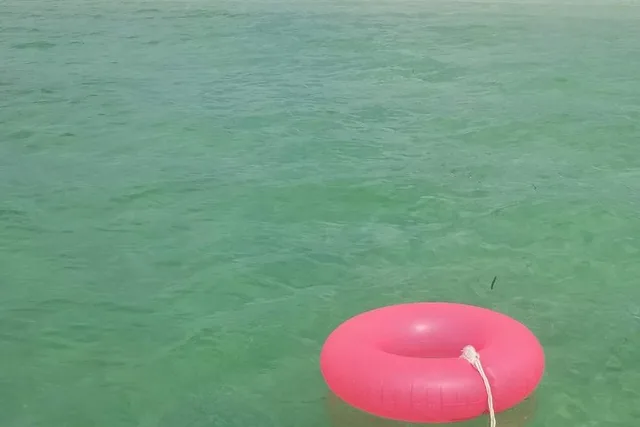 Florida Keys Boat Excursion with Snorkeling - Image 3