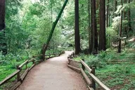 San Francisco Alcatraz and Muir Woods Tour thumbnail 5