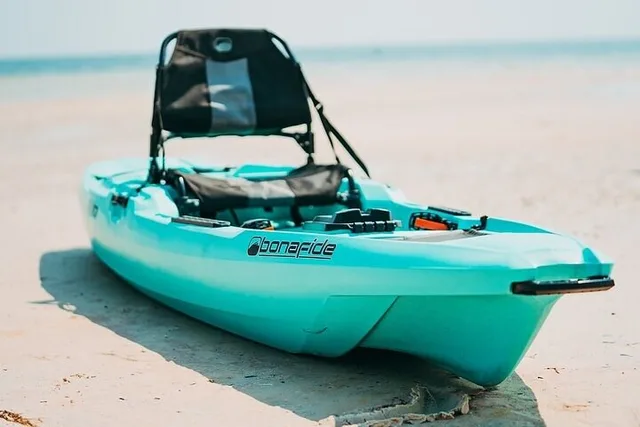 Clearwater Island Kayak Tour with Beach Setup - Image 6