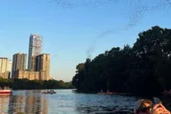 Austin Bat Bridge Kayak Tour at Sunset thumbnail 6