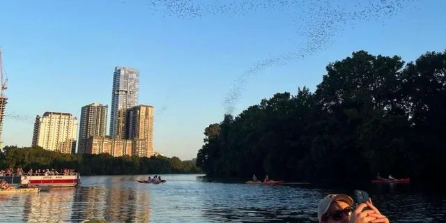 Austin Bat Bridge Kayak Tour at Sunset - Image 6