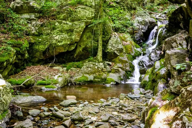 Shenandoah National Park Self-Guided Audio Tour - Image 6