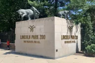 Chicago Zoo Adventure thumbnail 2