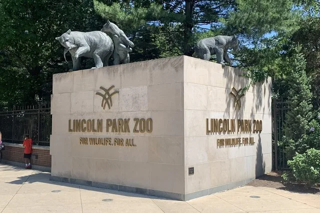 Chicago Zoo Adventure - Image 2