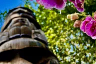 Ketchikan Rainforest Walk and Totem Park Tour thumbnail 5
