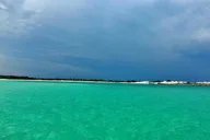 Panama City Eco Dolphin Tour thumbnail 5