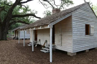 New Orleans Plantation and Swamp Tour