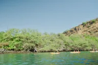 Kealakekua Bay Kayak and Snorkel Adventure thumbnail 6