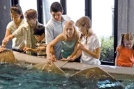 Houston City Tour and Downtown Aquarium Pass thumbnail 5