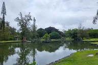 Hilo Volcano National Park and Rainbow Falls Tour thumbnail 3