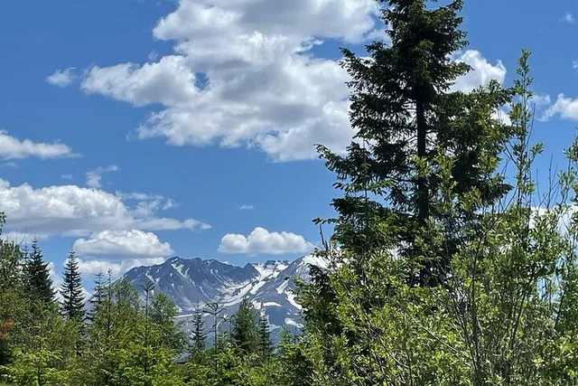 Portland Mt. Saint Helens Small Group Tour - Image 4