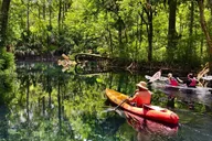 Orlando Silver Springs Kayak and Glass Boat Tour thumbnail 2