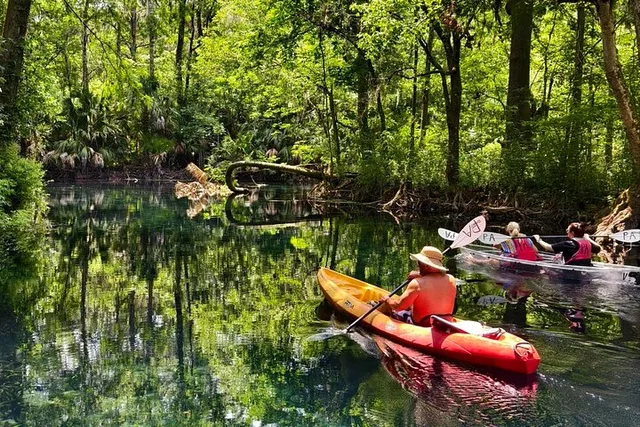 Orlando Silver Springs Kayak and Glass Boat Tour - Image 2