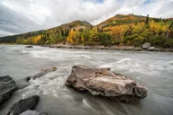 Denali Photo Excursion 3 hr thumbnail 4