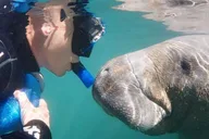 Crystal River Manatee Swim with Heated Boat 3 hr thumbnail 1