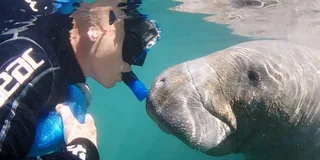 Crystal River Manatee Swim with Heated Boat 3 hr