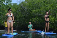Key West Stand Up Paddleboard Rental 2 hr thumbnail 1