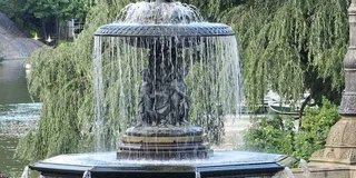 New York Central Park Pedicab Tour 1 hr