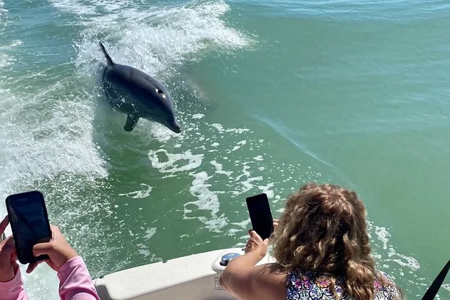 Marco Island Shelling and Dolphin Excursion - Image 2