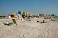 Clearwater Beach Bus Express thumbnail 3