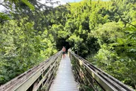 Maui Pipiwai Trail Open-Air Jeep Tour thumbnail 6