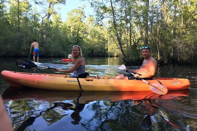 Myrtle Beach Kayak Tour on the Waccamaw River - Image 4