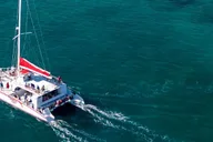 Key West Reef Snorkeling with Open Bar 3 hr thumbnail 3