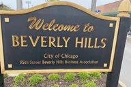 Chicago Neighborhoods Tour North and South Side 4.5 hr thumbnail 1