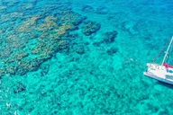 Key West Reef Snorkeling with Open Bar 3 hr thumbnail 5