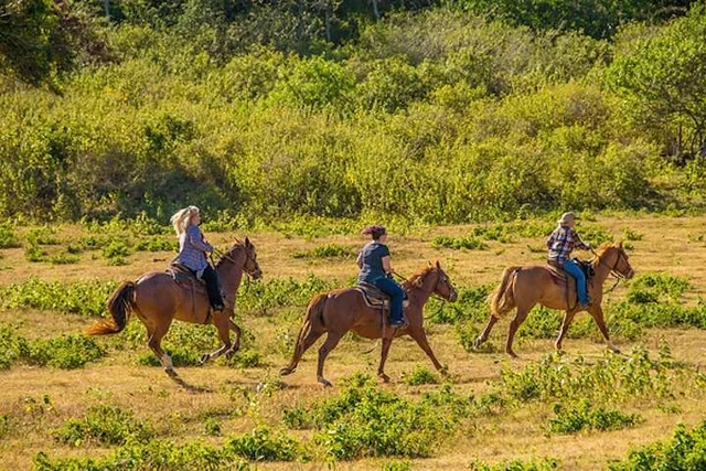 Oahu Advanced Trail Ride - Image 2