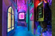 Grapevine Art Experience at Meow Wolf thumbnail 5