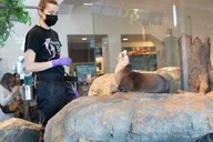 San Francisco Aquarium of the Bay Admission thumbnail 5