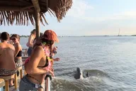 Folly Beach Tiki Boat Tour 2 hr thumbnail 2