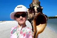 Marco Island Barrier Island Shelling Tour thumbnail 6