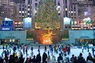 New York Holiday Lights and Grand Central Tour thumbnail 4