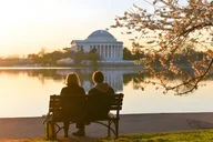 Washington DC City Monuments Tour thumbnail 6