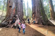 Yosemite Highlights and Sunset Tour thumbnail 4