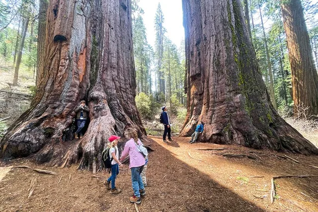 Yosemite Highlights and Sunset Tour - Image 4