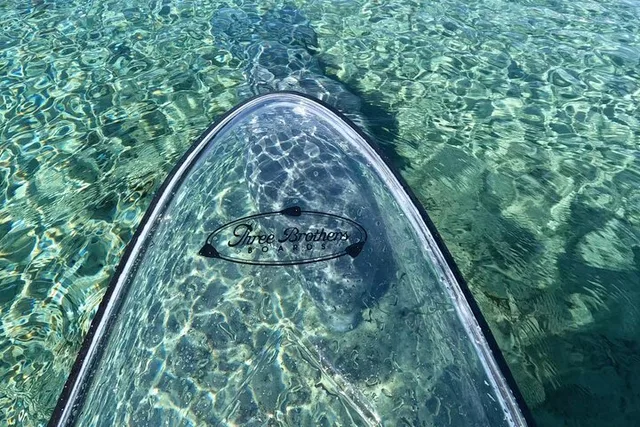 Silver Springs Clear Kayak Tour with Manatees and Monkeys - Image 5