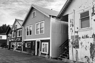 Ketchikan Island Tour with Wild Wolf Tours 3 hr thumbnail 3