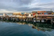 San Francisco Monterey and Carmel Day Tour thumbnail 2