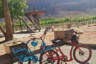 Moab E-Bike Tour with Winery Visit thumbnail 4