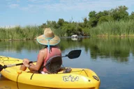 Mesa Kayaking Trip on Saguaro Lake thumbnail 4