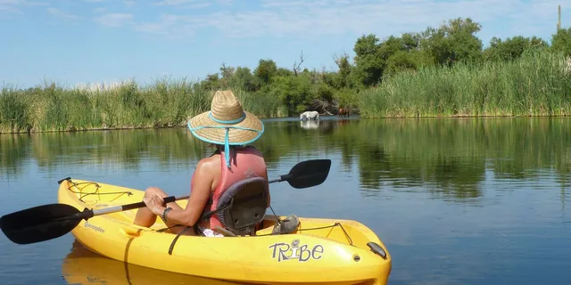 Mesa Kayaking Trip on Saguaro Lake - Image 4