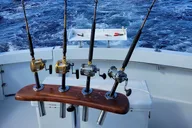 Key West Sportfishing Experience 4 Hours thumbnail 4