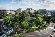 Washington D.C. Dupont Circle Walking Tour thumbnail 4